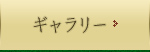 ギャラリー