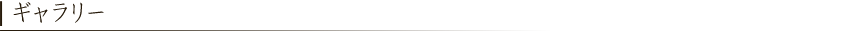 ギャラリー